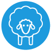 merino wool icon