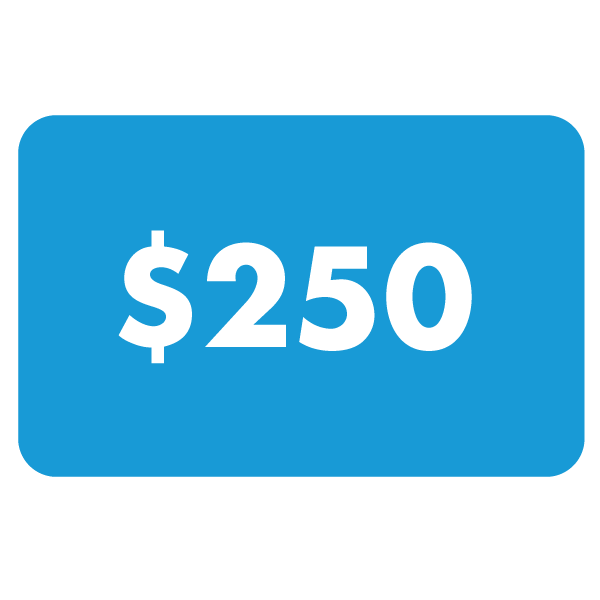$250 Gift Card – Clek US